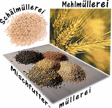 Vielfalt des Berufes Vielfalt des Berufes